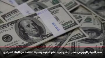 سعر الدولار اليوم في مصر: ارتفاع جديد أمام الجنيه وتثبيت الفائدة من البنك المركزي