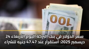 سعر الدولار في بنك البركة اليوم الأربعاء 24 ديسمبر 2025: استقرار عند 47.47 جنيه للشراء
