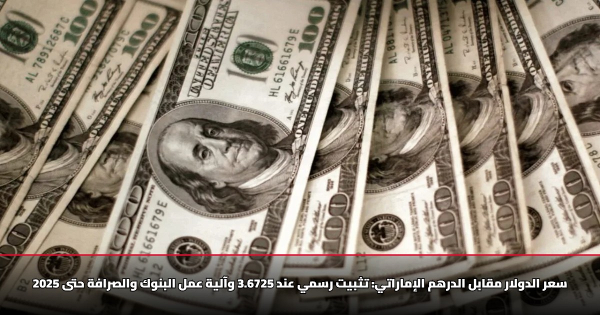 سعر الدولار مقابل الدرهم الإماراتي: تثبيت رسمي عند 3.6725 وآلية عمل البنوك والصرافة حتى 2025 5 سعر الدولار مقابل الدرهم الإماراتي: تثبيت رسمي عند 3.6725 وآلية عمل البنوك والصرافة حتى 2025