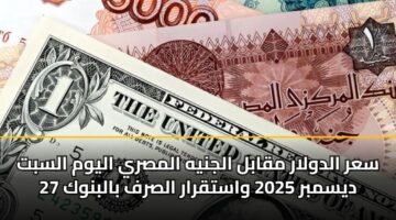 سعر الدولار مقابل الجنيه المصري اليوم السبت 27 ديسمبر 2025 واستقرار الصرف بالبنوك