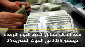 سعر الدولار مقابل الجنيه اليوم الأربعاء 24 ديسمبر 2025 في البنوك المصرية