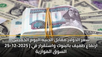سعر الدولار مقابل الجنيه اليوم الخميس 25-12-2025 | ارتفاع طفيف بالبنوك واستقرار في السوق الموازية