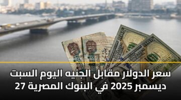 سعر الدولار مقابل الجنيه اليوم السبت 27 ديسمبر 2025 في البنوك المصرية