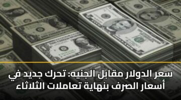 سعر الدولار مقابل الجنيه: تحرك جديد في أسعار الصرف بنهاية تعاملات الثلاثاء