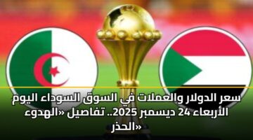 سعر الدولار والعملات في السوق السوداء اليوم الأربعاء 24 ديسمبر 2025.. تفاصيل «الهدوء الحذر»