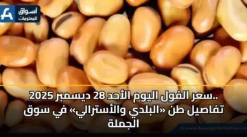 سعر الفول اليوم الأحد 28 ديسمبر 2025.. تفاصيل طن «البلدي والأسترالي» في سوق الجملة