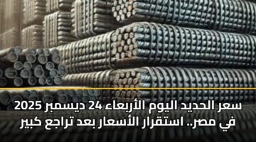 سعر الحديد اليوم الأربعاء 24 ديسمبر 2025 في مصر.. استقرار الأسعار بعد تراجع كبير