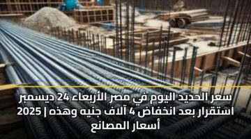 سعر الحديد اليوم في مصر الأربعاء 24 ديسمبر 2025 | استقرار بعد انخفاض 4 آلاف جنيه وهذه أسعار المصانع