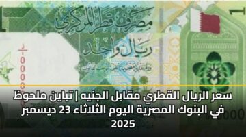 سعر الريال القطري مقابل الجنيه | تباين ملحوظ في البنوك المصرية اليوم الثلاثاء 23 ديسمبر 2025
