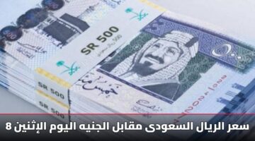 سعر الريال السعودي اليوم «تحديث الإثنين».. إليك أفضل سعر بيع وشراء في مصر
