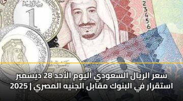 سعر الريال السعودي اليوم الأحد 28 ديسمبر 2025 | استقرار في البنوك مقابل الجنيه المصري
