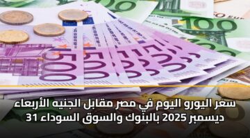 سعر اليورو اليوم في مصر مقابل الجنيه الأربعاء 31 ديسمبر 2025 بالبنوك والسوق السوداء
