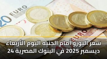 سعر اليورو أمام الجنيه اليوم الأربعاء 24 ديسمبر 2025 في البنوك المصرية