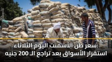 سعر طن الأسمنت اليوم الثلاثاء: استقرار الأسواق بعد تراجع الـ 200 جنيه