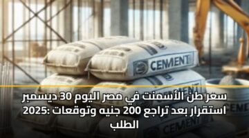 سعر طن الأسمنت في مصر اليوم 30 ديسمبر 2025: استقرار بعد تراجع 200 جنيه وتوقعات الطلب