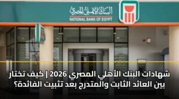شهادات البنك الأهلي المصري 2026 | كيف تختار بين العائد الثابت والمتدرج بعد تثبيت الفائدة؟