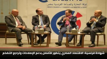شهادة فرنسية: الاقتصاد المصري يتطور للأفضل بدعم الإصلاحات وتراجع التضخم