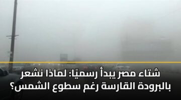 شتاء مصر يبدأ رسميًا: لماذا نشعر بالبرودة القارسة رغم سطوع الشمس؟