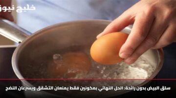 سلق البيض بدون رائحة: الحل النهائي بمكونين فقط يمنعان التشقق ويسرّعان النضج