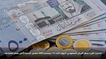 «تحديث الآن» سعر الريال السعودي اليوم الأحد 14 ديسمبر 2025 مقابل الجنيه [أعلى سعر للشراء]