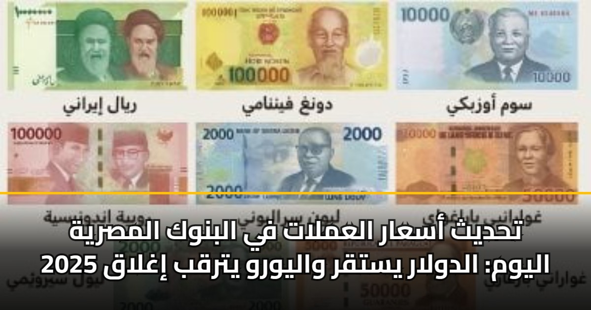 تحديث أسعار العملات في البنوك المصرية اليوم: الدولار يستقر واليورو يترقب إغلاق 2025 5 تحديث أسعار العملات في البنوك المصرية اليوم: الدولار يستقر واليورو يترقب إغلاق 2025