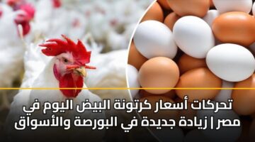 تحركات أسعار كرتونة البيض اليوم في مصر | زيادة جديدة في البورصة والأسواق