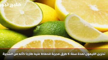 تخزين الليمون لمدة سنة: 5 طرق مجربة للحفاظ عليه طازجاً كأنه من الشجرة