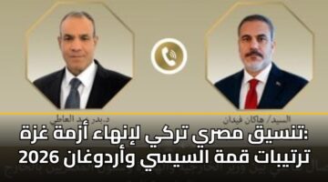 تنسيق مصري تركي لإنهاء أزمة غزة: ترتيبات قمة السيسي وأردوغان 2026