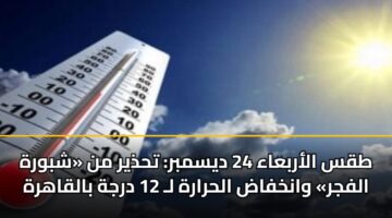 طقس الأربعاء 24 ديسمبر: تحذير من «شبورة الفجر» وانخفاض الحرارة لـ 12 درجة بالقاهرة