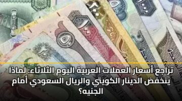 تراجع أسعار العملات العربية اليوم الثلاثاء: لماذا ينخفض الدينار الكويتي والريال السعودي أمام الجنيه؟