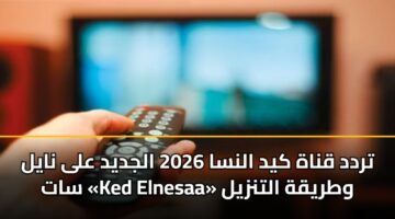 تردد قناة كيد النسا 2026 الجديد على نايل سات «Ked Elnesaa» وطريقة التنزيل