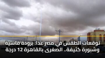 توقعات الطقس في مصر غدًا: برودة قاسية وشبورة كثيفة.. الصغرى بالقاهرة 12 درجة