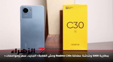 «وحش الغلابة» الجديد.. سعر ومواصفات Realme C30s ببطارية 5000 وشاشة عملاقة