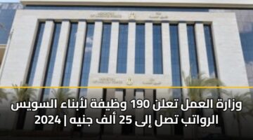 وزارة العمل تعلن 190 وظيفة لأبناء السويس 2024 | الرواتب تصل إلى 25 ألف جنيه