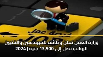 وزارة العمل تعلن وظائف للمهندسين والفنيين 2025| الرواتب تصل إلى 13,500 جنيه
