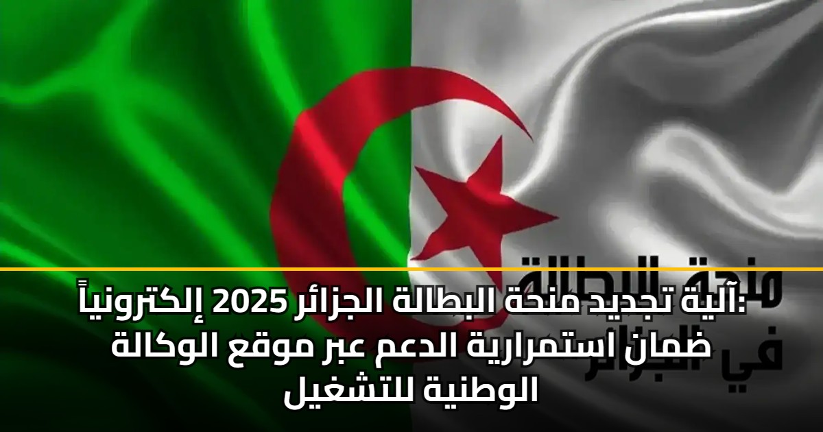 آلية تجديد منحة البطالة الجزائر 2025 إلكترونياً: ضمان استمرارية الدعم عبر موقع الوكالة الوطنية للتشغيل