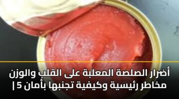 أضرار الصلصة المعلبة على القلب والوزن | 5 مخاطر رئيسية وكيفية تجنبها بأمان