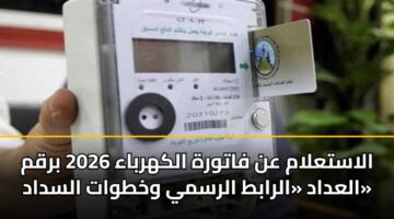 الاستعلام عن فاتورة الكهرباء 2026 برقم العداد «الرابط الرسمي وخطوات السداد»