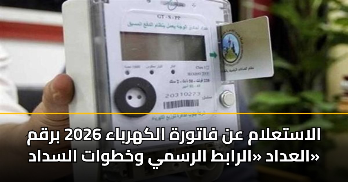 الاستعلام عن فاتورة الكهرباء 2026 برقم العداد «الرابط الرسمي وخطوات السداد»