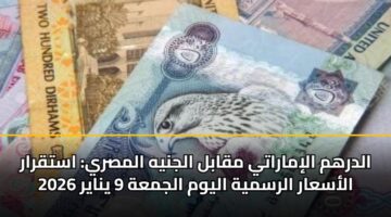 الدرهم الإماراتي مقابل الجنيه المصري: استقرار الأسعار الرسمية اليوم الجمعة 9 يناير 2026