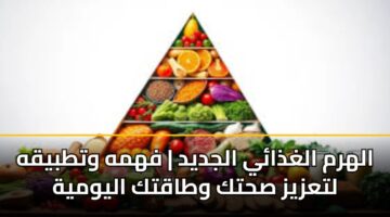 الهرم الغذائي الجديد | فهمه وتطبيقه لتعزيز صحتك وطاقتك اليومية