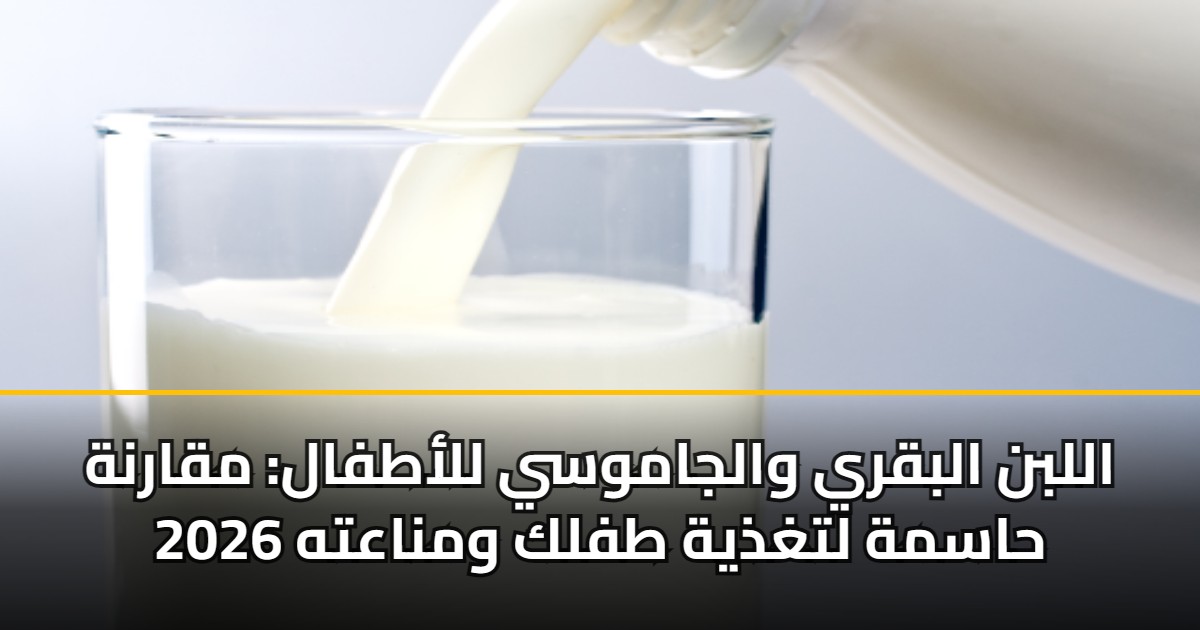 اللبن البقري والجاموسي للأطفال: مقارنة حاسمة لتغذية طفلك ومناعته 2026
