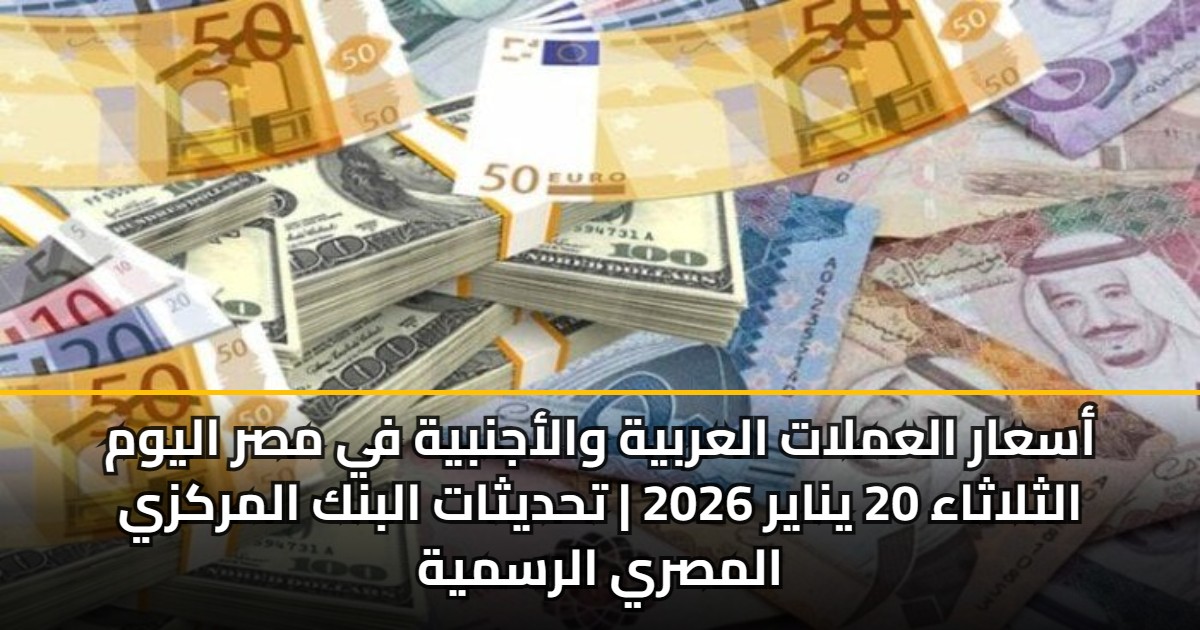 أسعار العملات العربية والأجنبية في مصر اليوم الثلاثاء 20 يناير 2026 | تحديثات البنك المركزي المصري الرسمية