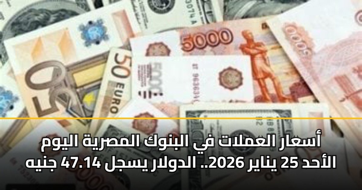 أسعار العملات في البنوك المصرية اليوم الأحد 25 يناير 2026.. الدولار يسجل 47.14 جنيه 5 أسعار العملات في البنوك المصرية اليوم الأحد 25 يناير 2026.. الدولار يسجل 47.14 جنيه