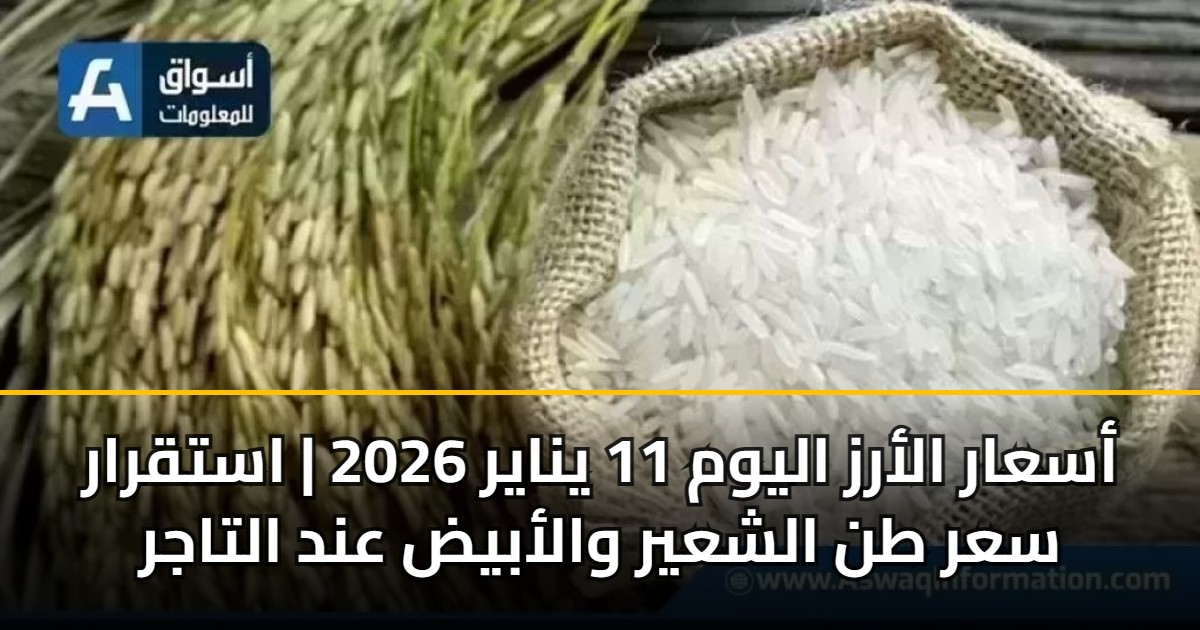 أسعار الأرز اليوم 11 يناير 2026 | استقرار سعر طن الشعير والأبيض عند التاجر