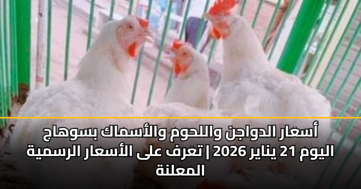أسعار الدواجن واللحوم والأسماك بسوهاج اليوم 21 يناير 2026 | تعرف على الأسعار الرسمية المعلنة 5 أسعار الدواجن واللحوم والأسماك بسوهاج اليوم 21 يناير 2026 | تعرف على الأسعار الرسمية المعلنة