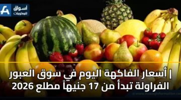 أسعار الفاكهة اليوم في سوق العبور | الفراولة تبدأ من 17 جنيهاً مطلع 2026