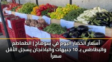 أسعار الخضار اليوم في سوهاج | الطماطم والبطاطس بـ 10 جنيهات والباذنجان يسجل الأقل سعراً