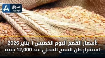 أسعار القمح اليوم الخميس 1 يناير 2026: استقرار طن القمح المحلي عند 12,000 جنيه