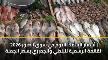 أسعار السمك اليوم في سوق العبور 2026 | القائمة الرسمية للبلطي والجمبري بسعر الجملة